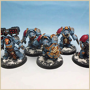 Snowy Space Wolf Army Group Shots